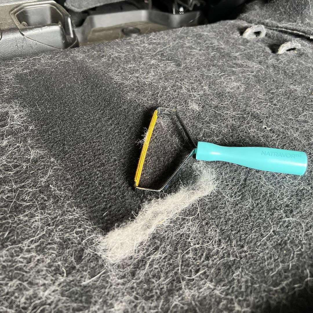 Natravor Dog Hair Remover 🐾 Say Goodbye to Pet Hair — Instantly!