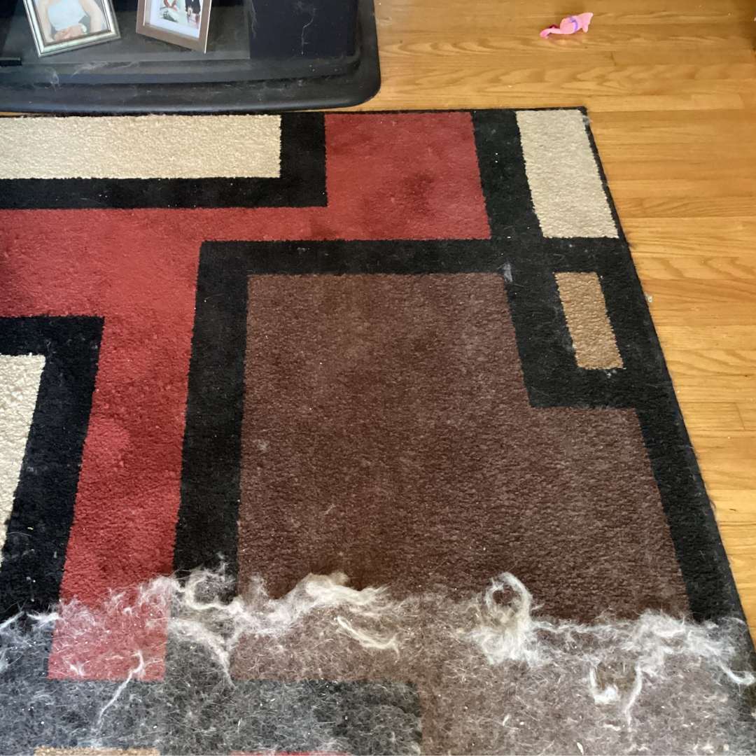 Natravor Dog Hair Remover 🐾 Say Goodbye to Pet Hair — Instantly!